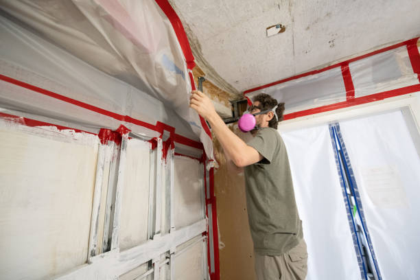 Best Comprehensive Air Testing for Mold Contaminants  in Portageville, MO